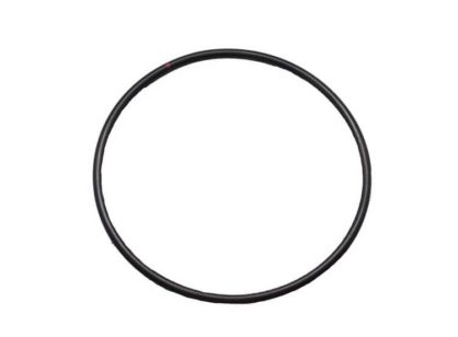 Ford Falcon Fuel Sender Seal